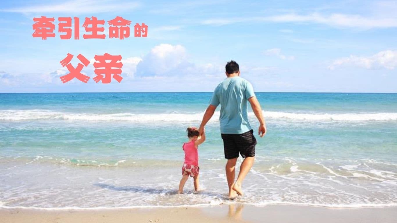 牵引生命的父亲